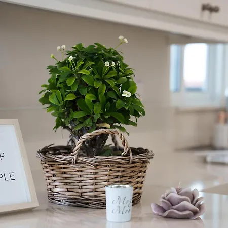 Vila Hephaestus Family Villa, Ayia Triada *